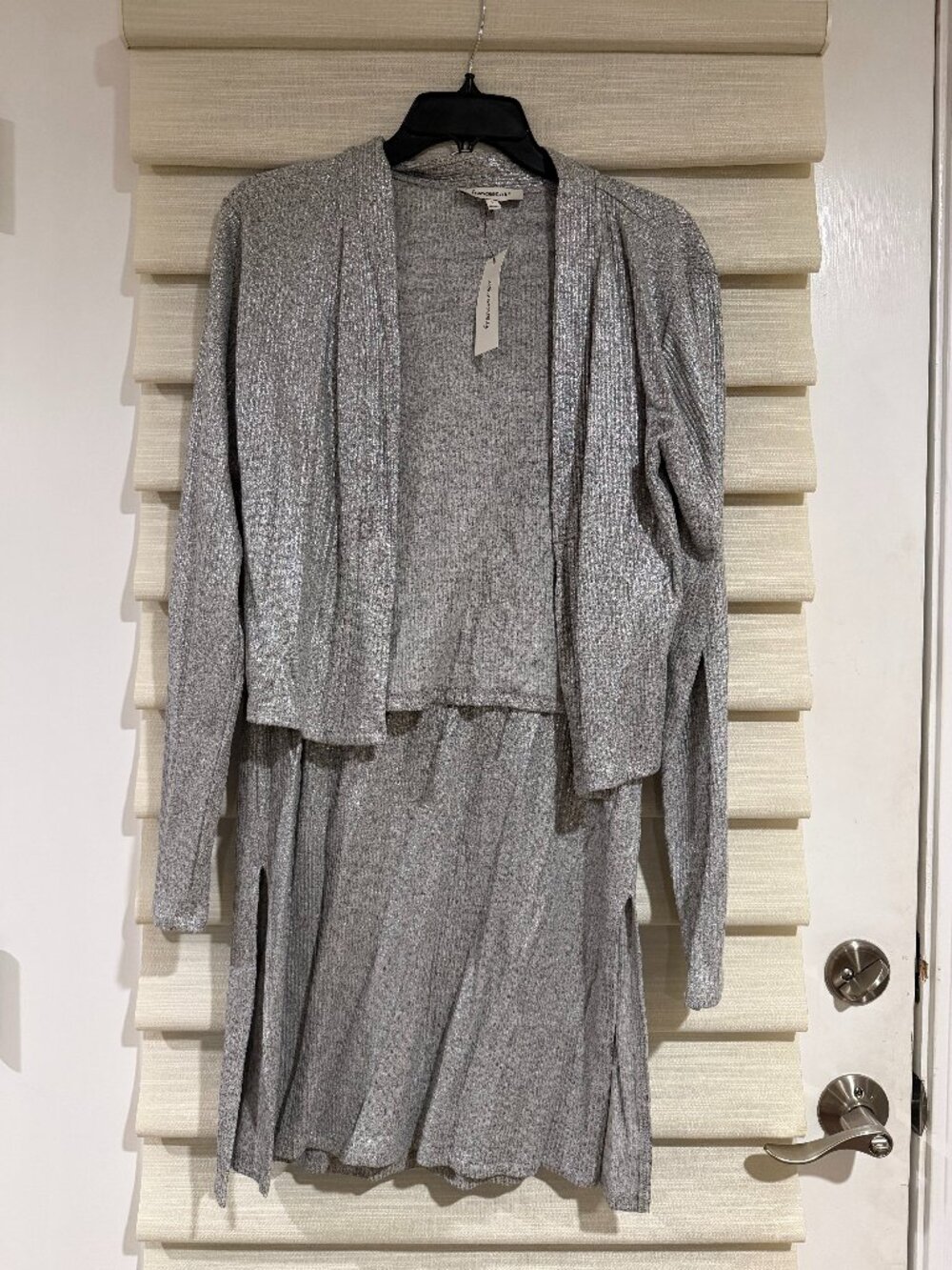 francesca's shimmery silver set (size L)